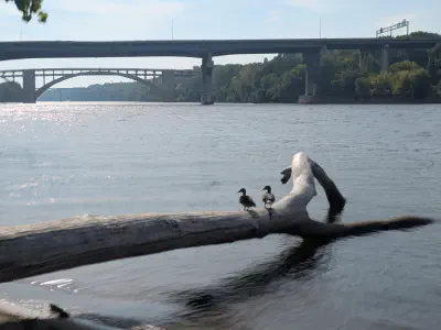 bcharlton-2025-11-02-233811